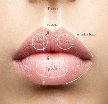 Nose Dermal Filler